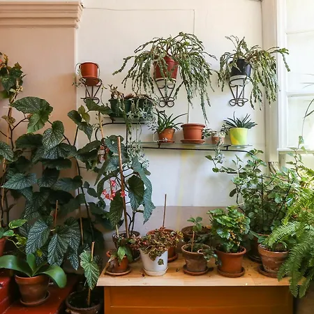 아파트 Old Town Baroque Palace